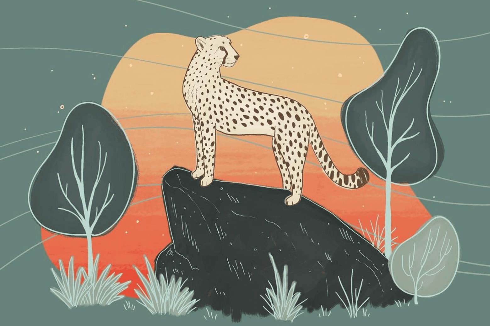 Drawing of a Cheetah from my Animalphabet series